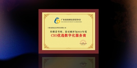 輕流榮獲“CIO優選數字化服務商”，以無代碼技術持續賦能行業數字化與計算機網絡工程創新