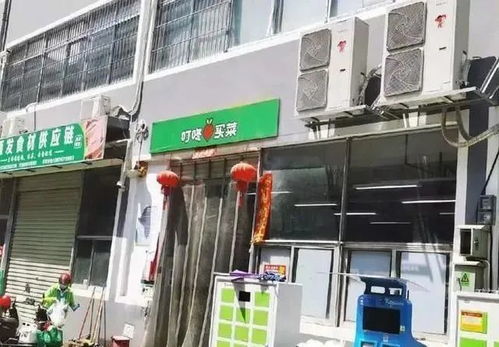 加快發展數字田園，以科技引領農業現代化轉型